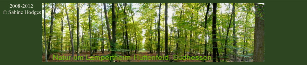 Banner_NaturumHuettenfeld Kopie