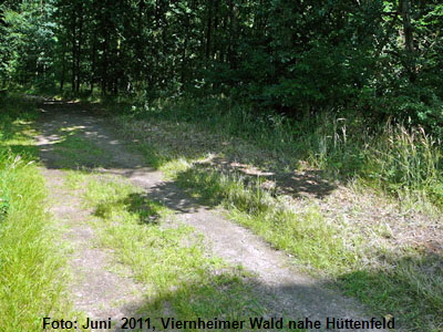 Juni 2011 Viernheimer Wald gemähte Wege 400