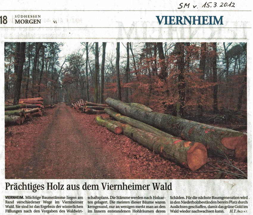 SM Artikel Holzernte Viernheim 15.3.2012