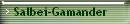 Salbei-Gamander