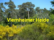 Viernheimer Heide