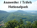 Juni 2008 Annweiler Trifels Naturpark Pflzer Wald 026