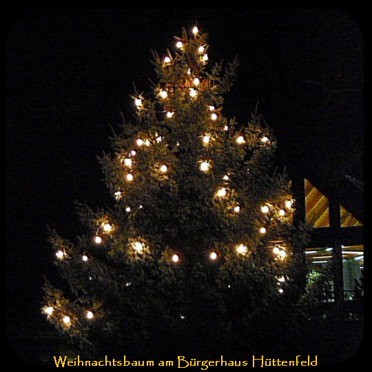 Weihnachtsbaum Bürgerhaus4
