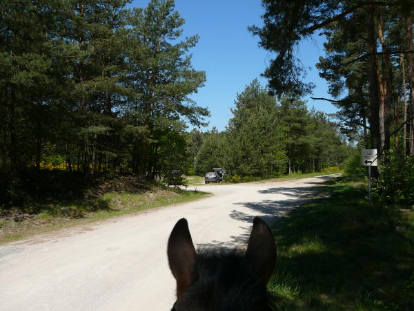 Mai 2008 Ausritt 3 Htt-Neuschloss-Viernheimer Heide 021