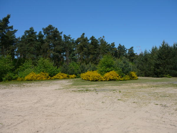 Mai 2008 Ausritt 3 Htt-Neuschloss-Viernheimer Heide 023