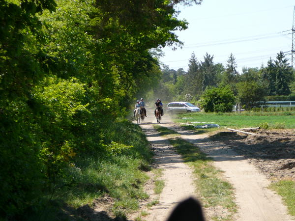 Mai 2008 Ausritt 3 Htt-Neuschloss-Viernheimer Heide 038