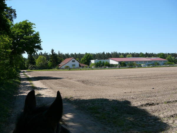 Mai 2008 Ausritt 3 Htt-Neuschloss-Viernheimer Heide 040