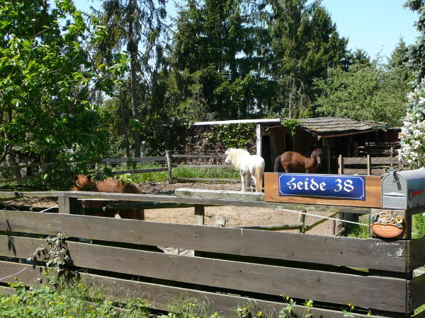 Mai 2008 Ausritt 3 Htt-Neuschloss-Viernheimer Heide 046