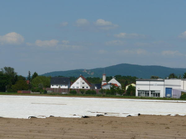 Mai 2008 Ausritt 3 Htt-Neuschloss-Viernheimer Heide 129